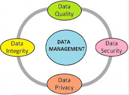 Built 6 data management departments