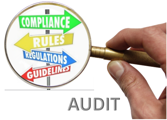 Audits and Quality Oversight