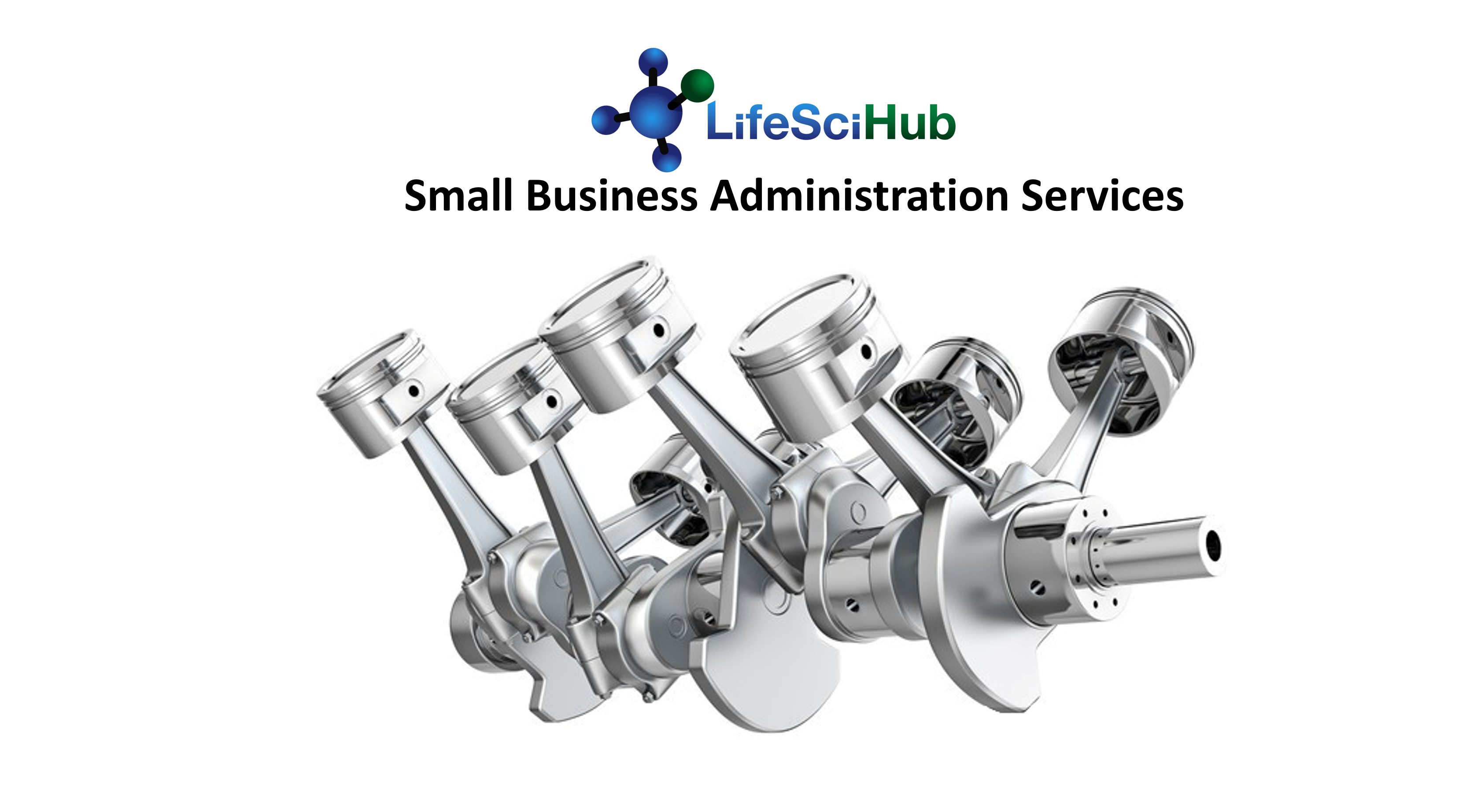 LifeSciHub Small Business Administration Services