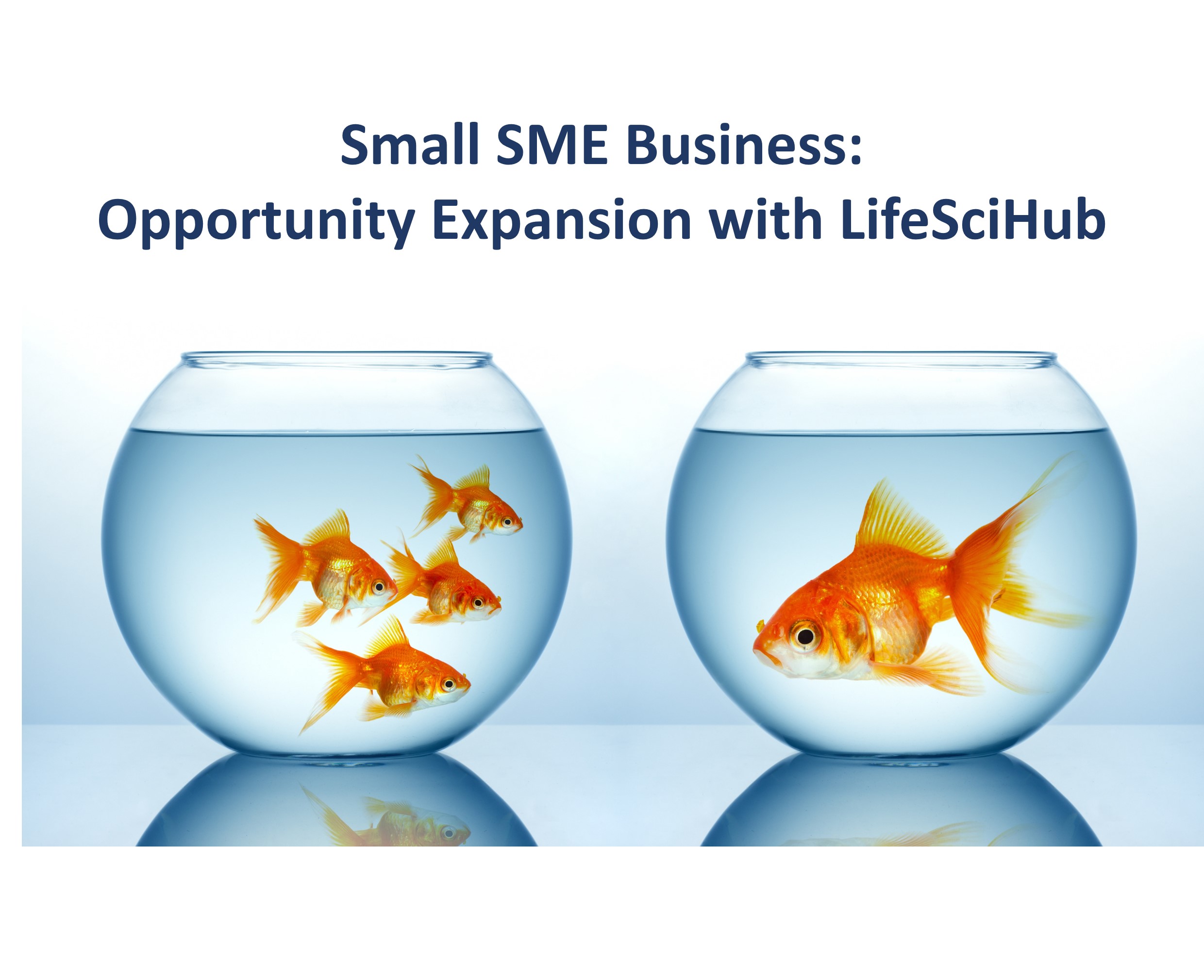 Small Drug Development SME Businesses:  Opportunities Expansion with LifeSciHub